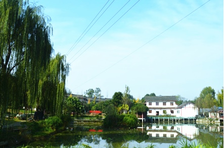 成都寶寶宴預訂