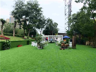 三圣鄉草坪婚禮場地 