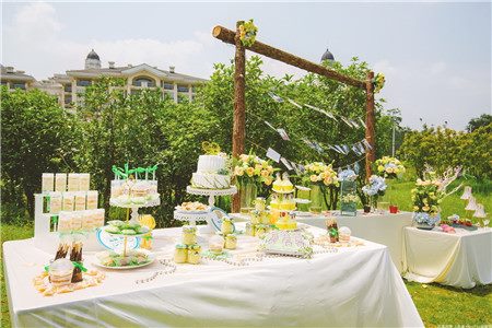 成都辦草坪婚禮的場地