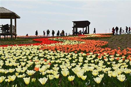 三圣鄉適合辦婚禮的地方