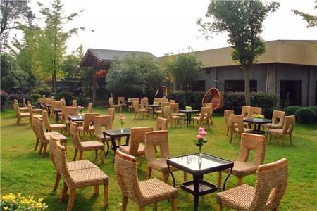 成都三圣鄉年會